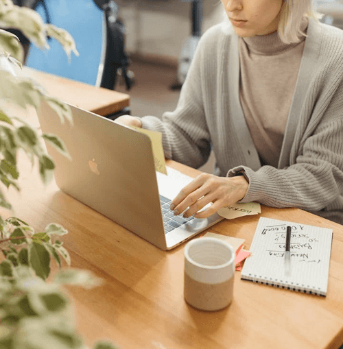 Solido Finetis equipo de apoyo ilustración